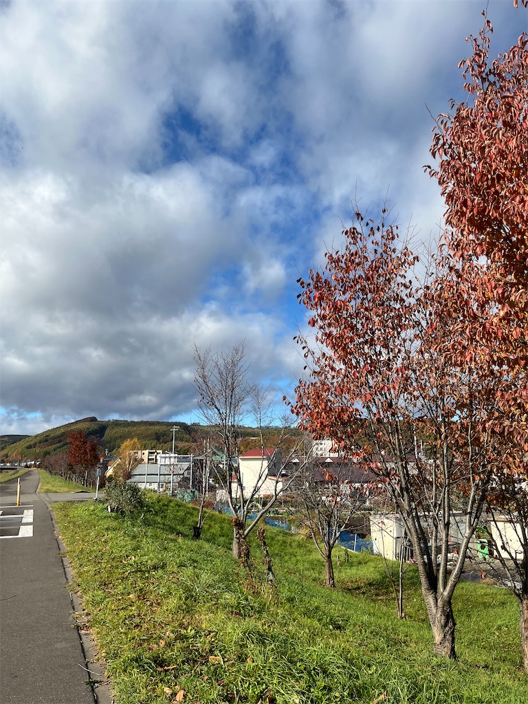 f:id:simplesmilelife:20251027100253j:image