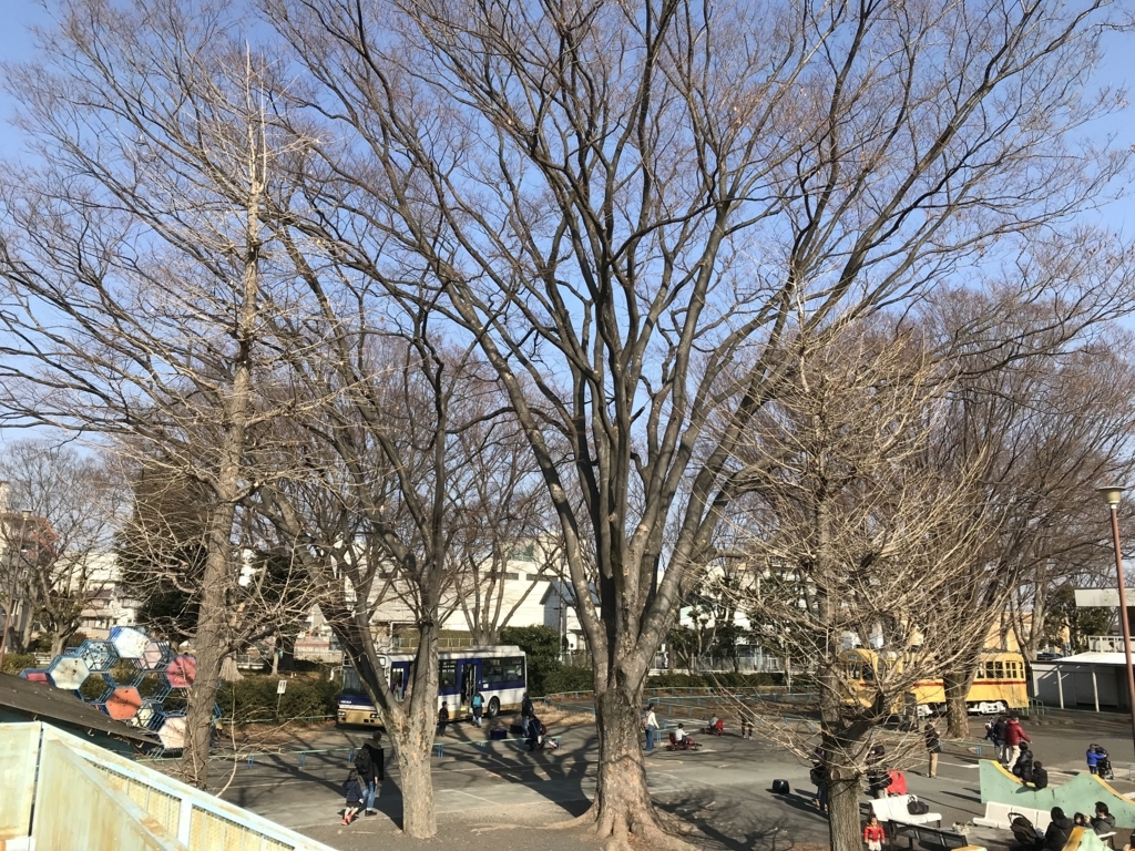 f:id:simplify:20180128150313j:plain