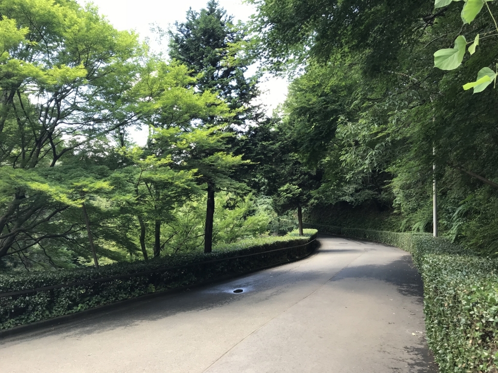 f:id:simplify:20180619165417j:plain f:id:simplify:20180619165417j:plain