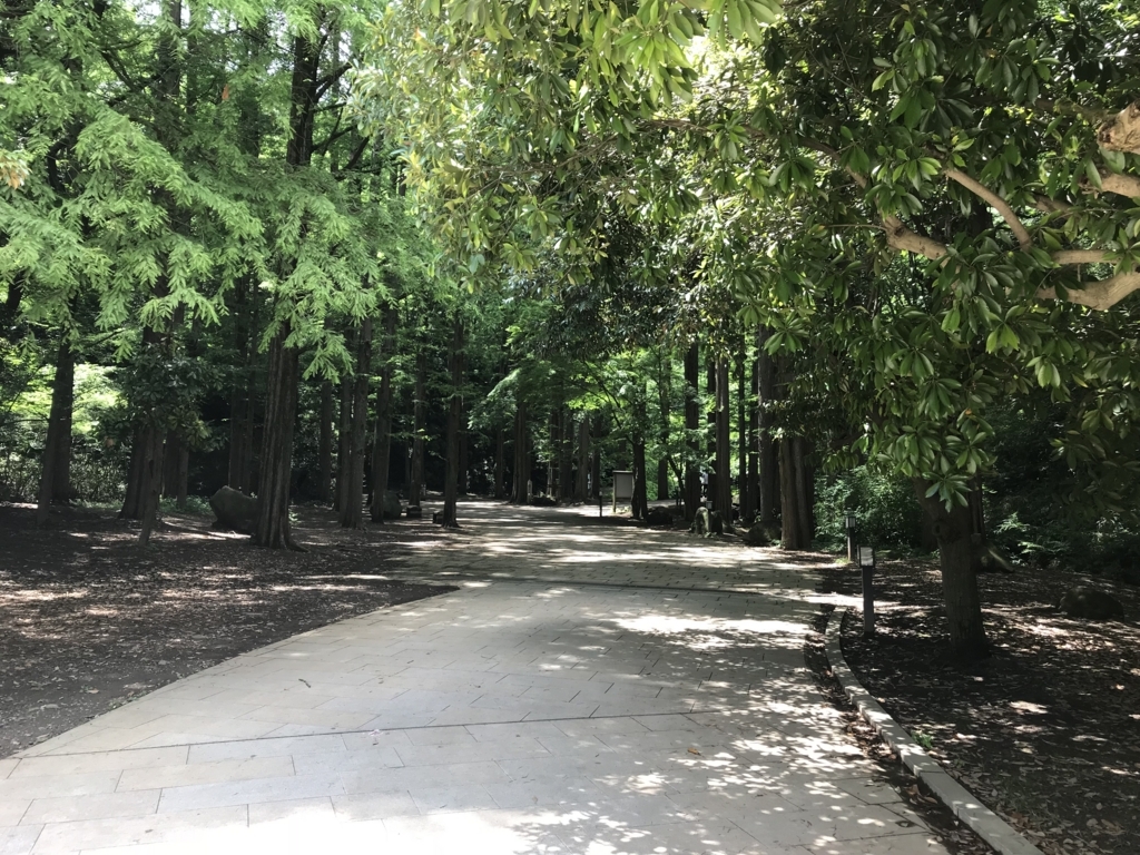 f:id:simplify:20180619170152j:plain f:id:simplify:20180619170152j:plain