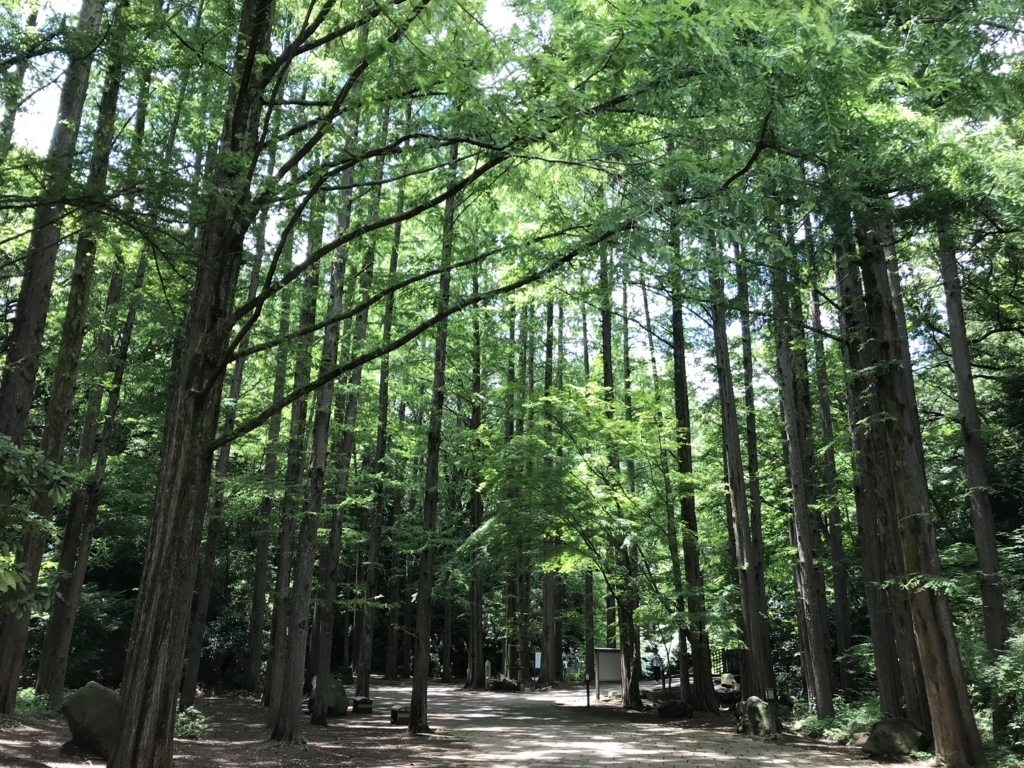 f:id:simplify:20180619170211j:plain f:id:simplify:20180619170211j:plain