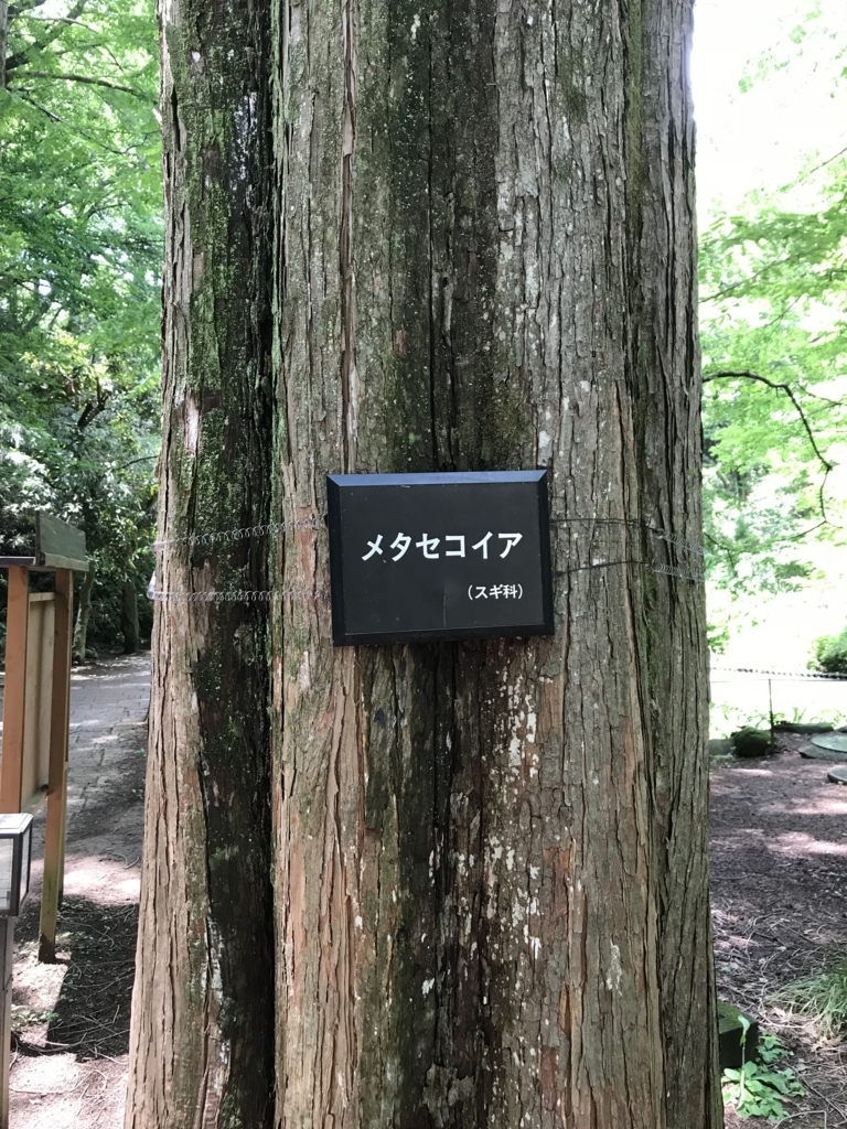 f:id:simplify:20180619170246j:plain f:id:simplify:20180619170246j:plain