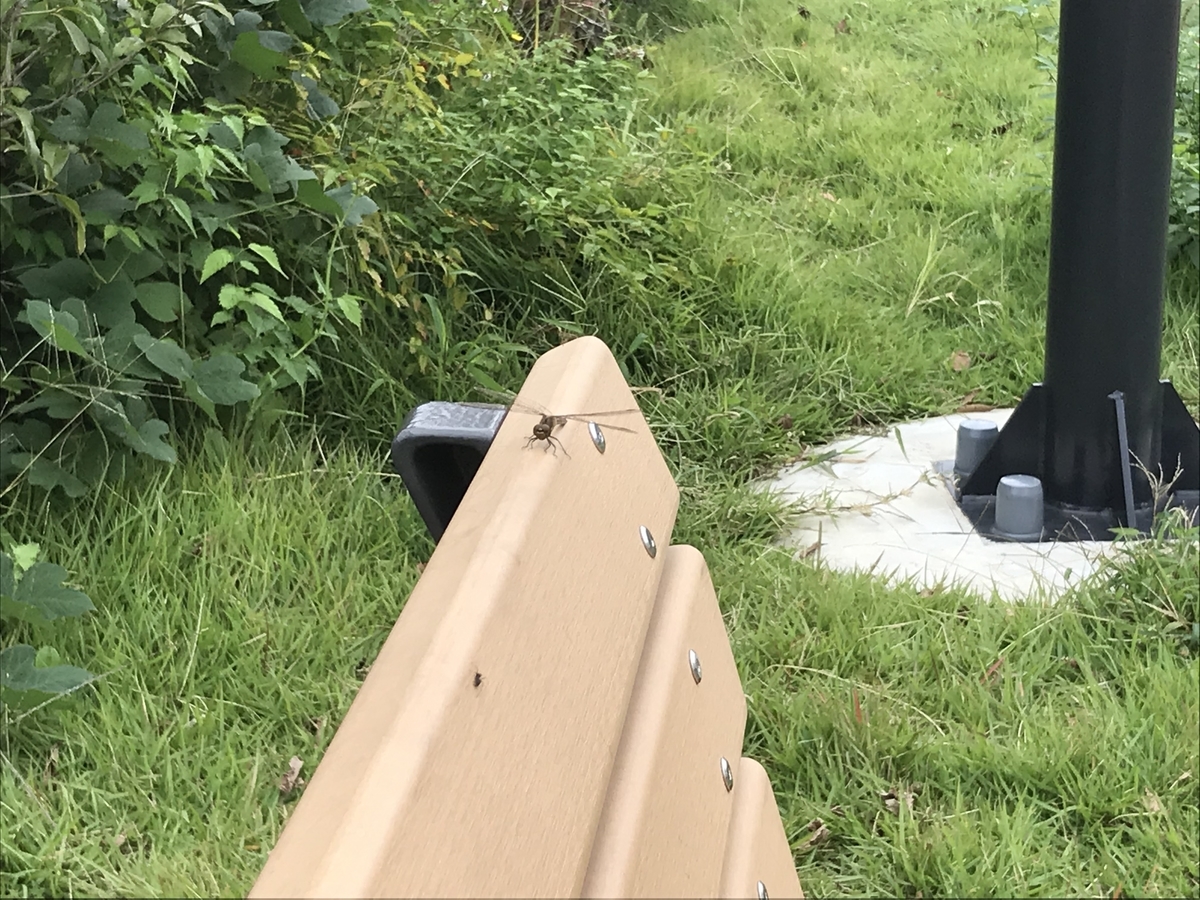 f:id:simplify:20191020200025j:plain f:id:simplify:20191020200025j:plain