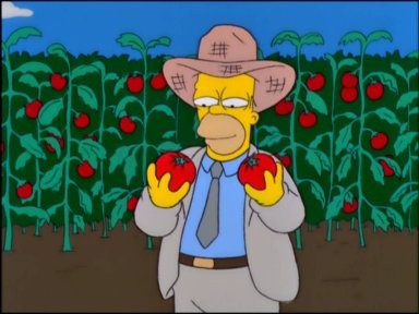 f:id:simpsons333:20100312023900j:image