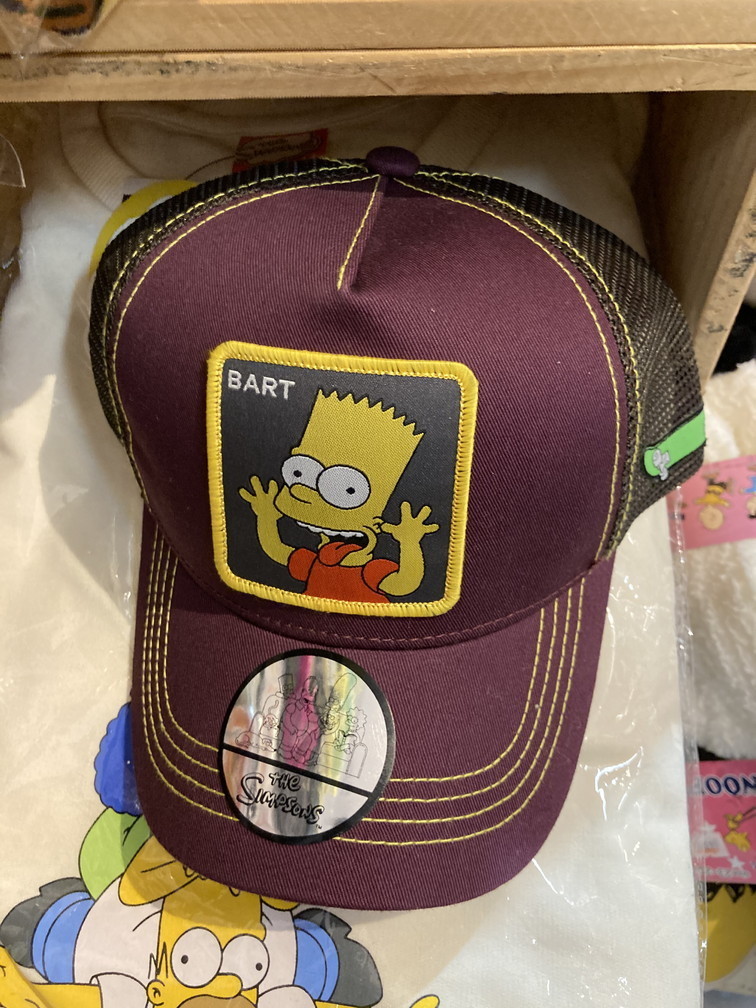 f:id:simpsons333:20210619115456j:plain