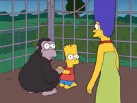 f:id:simpsons555:20100309023014j:image