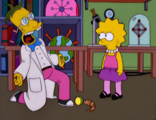 f:id:simpsons555:20100701225920g:image f:id:simpsons555:20100701225920g:image