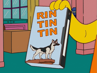 f:id:simpsons555:20121203042504g:image f:id:simpsons555:20121203042504g:image
