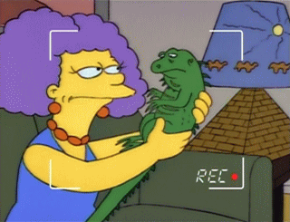 f:id:simpsons555:20140927112636g:image f:id:simpsons555:20140927112636g:image