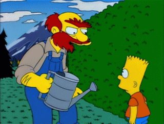 f:id:simpsons555:20180211205754g:image