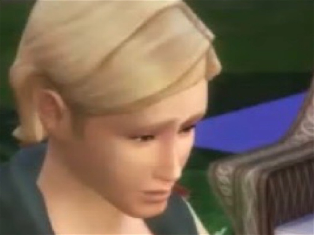 f:id:sims4Log:20221021013314j:image f:id:sims4Log:20221021013314j:image