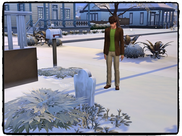 f:id:sims7days:20200205225901j:plain