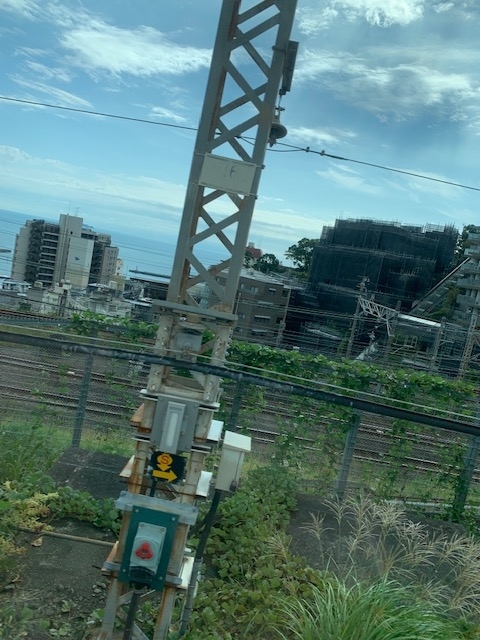 f:id:simsimyamauti:20191112190440j:plain f:id:simsimyamauti:20191112190440j:plain