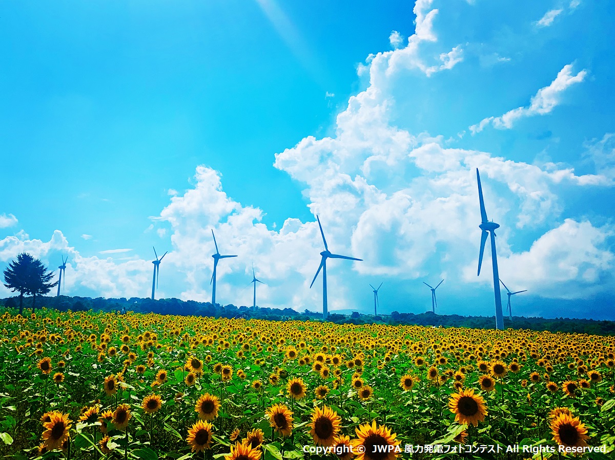 f:id:simul2019:20211007171253j:plain