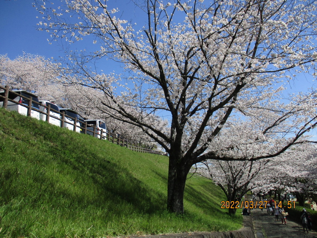 f:id:sin0501:20220408103557j:plain