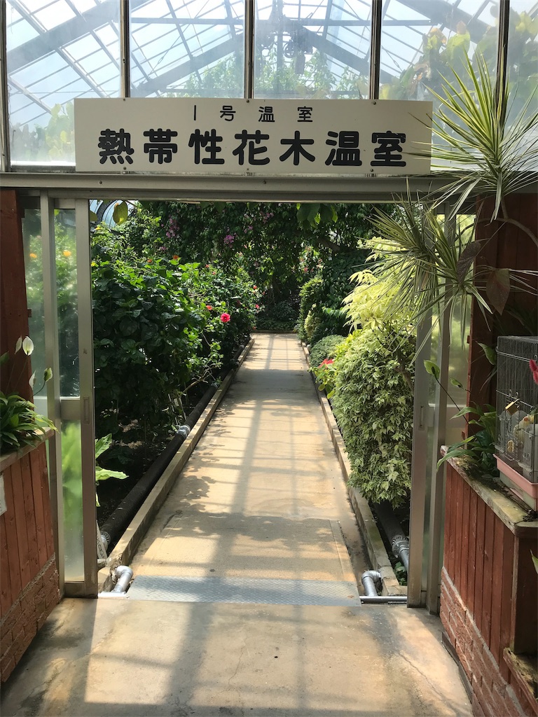 f:id:sin392:20190810224415j:image f:id:sin392:20190810224415j:image