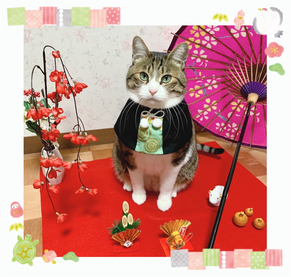 f:id:sin453:20201226235155j:image