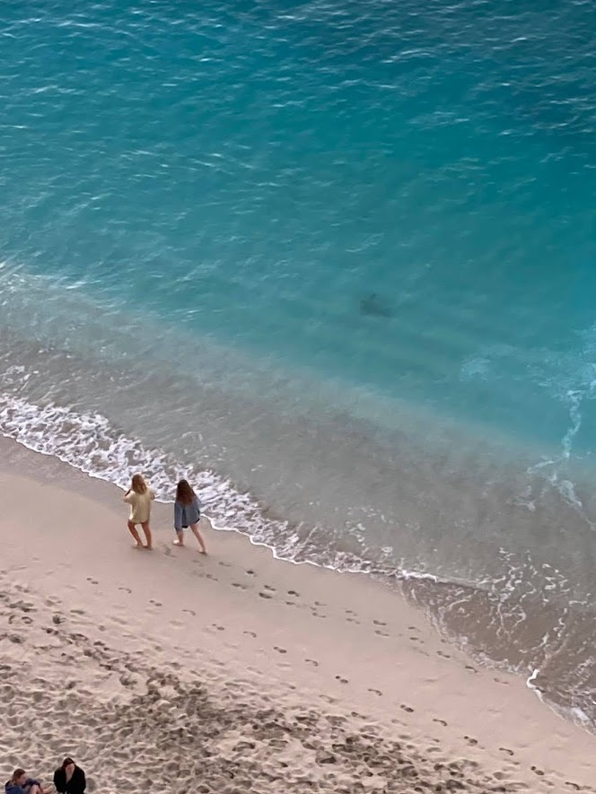 モアナサーフライダー 96シリーズでワイキキの絶景を堪能（ハワイ旅行