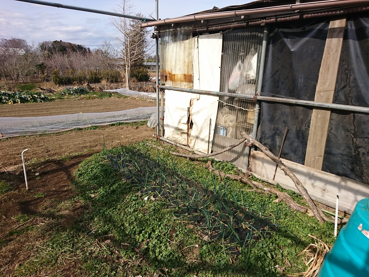f:id:sinac0:20190416144717j:plain f:id:sinac0:20190416144717j:plain