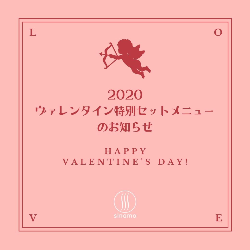 f:id:sinamoblog:20200206152752j:plain f:id:sinamoblog:20200206152752j:plain