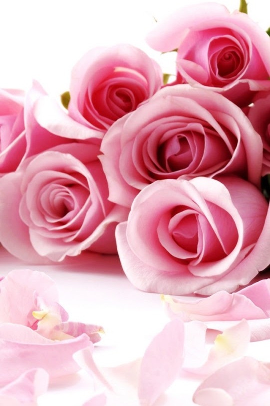 f:id:sinayakalife:20211125210920j:plain