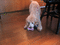 f:id:sinden:20060226000249j:image:small