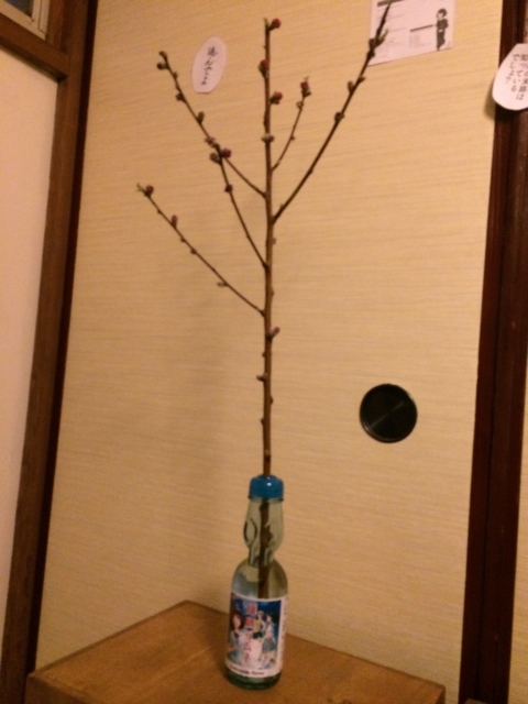 f:id:sinden:20140308175646j:image