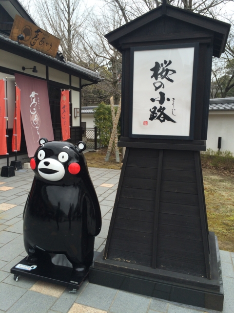 f:id:sinden:20150307120236j:image