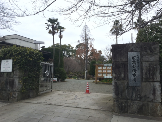 f:id:sinden:20150307134026j:image