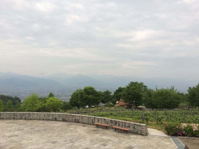 f:id:sinden:20150509172622j:image