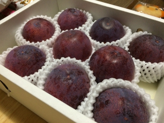 f:id:sinden:20150725224203j:image