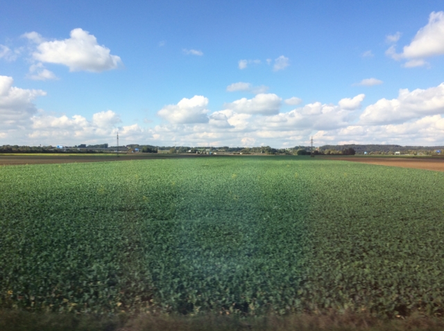 f:id:sinden:20161009145003j:image