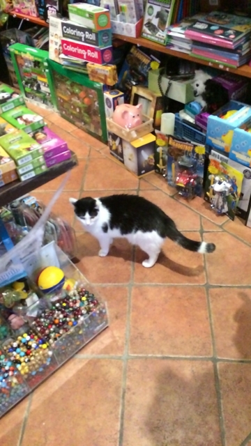 f:id:sinden:20161018161245j:image