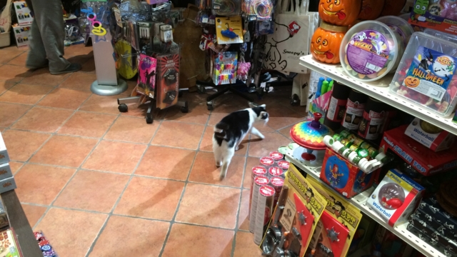 f:id:sinden:20161018161307j:image