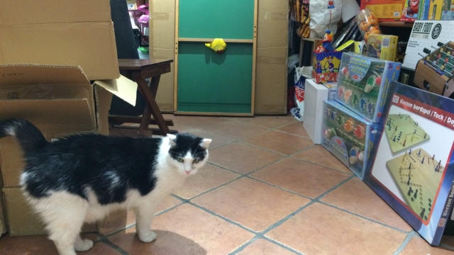 f:id:sinden:20161018161328j:image