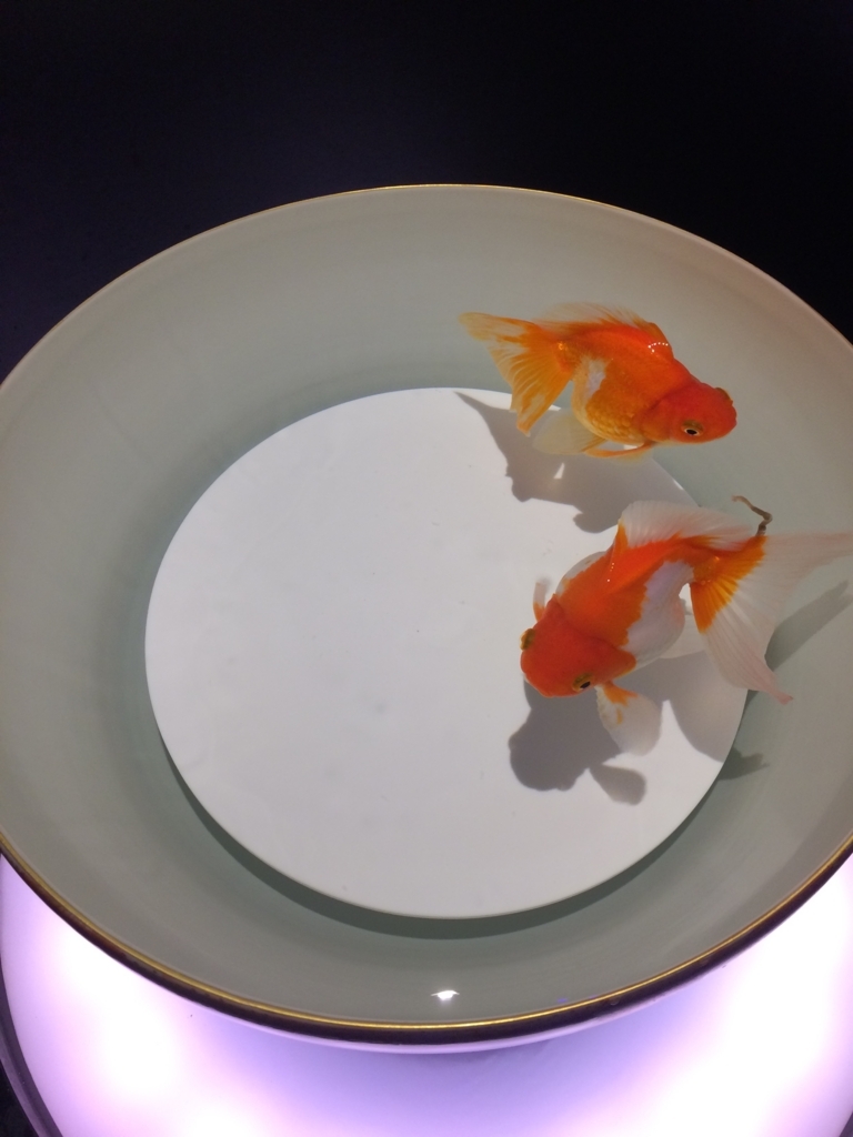 f:id:sinden:20170829194407j:plain f:id:sinden:20170829194407j:plain