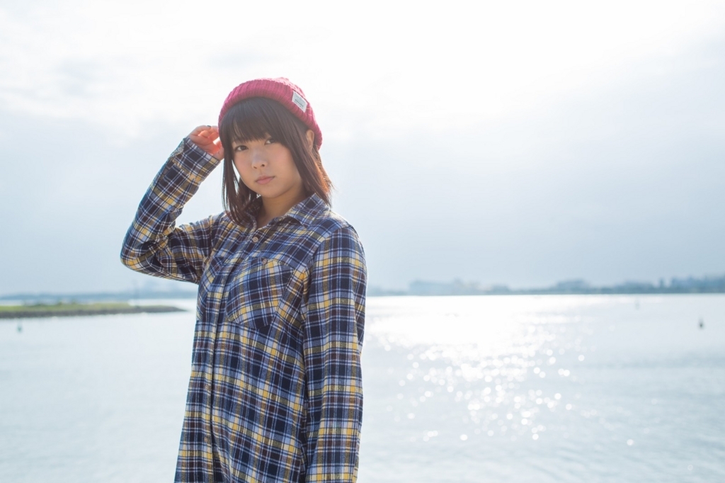 f:id:sinden:20170919192519j:plain