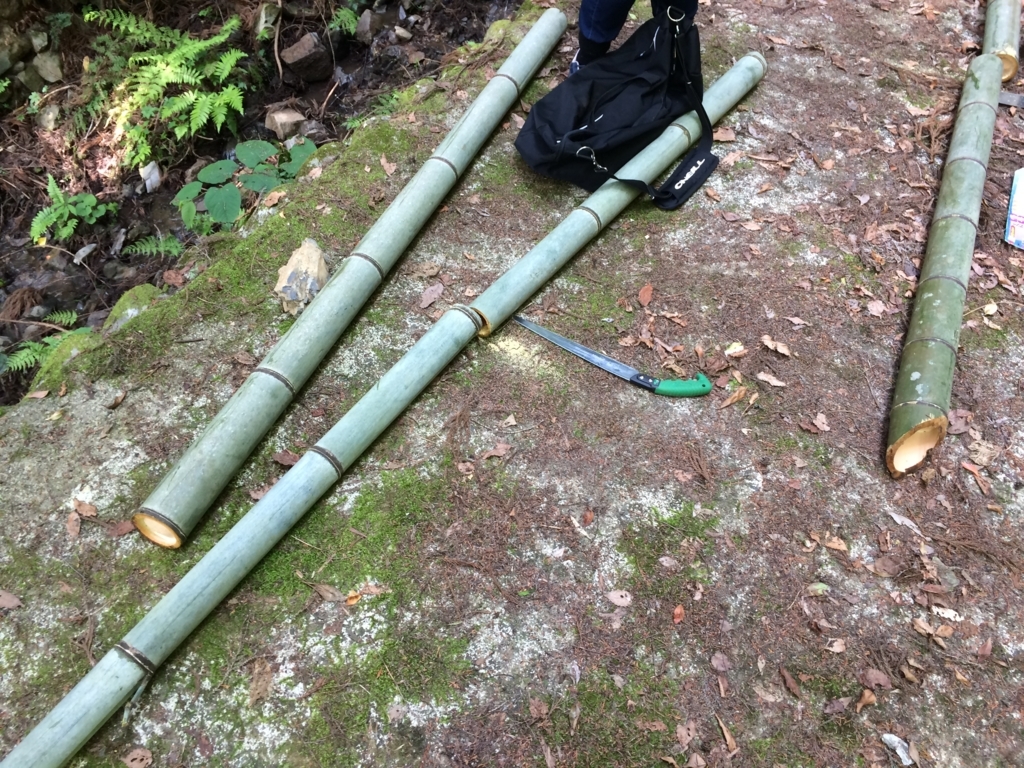 f:id:sinden:20180621220543j:plain f:id:sinden:20180621220543j:plain