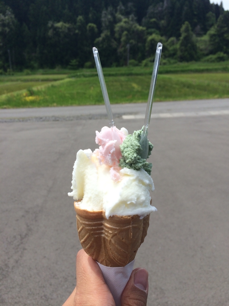 f:id:sinden:20180621221109j:plain f:id:sinden:20180621221109j:plain