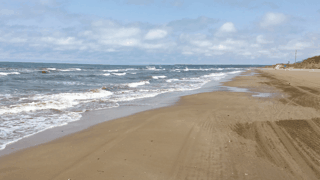 f:id:sinden:20180621222657g:plain f:id:sinden:20180621222657g:plain