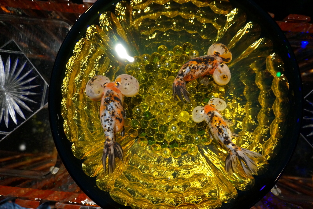 f:id:sinden:20180911205549j:plain f:id:sinden:20180911205549j:plain