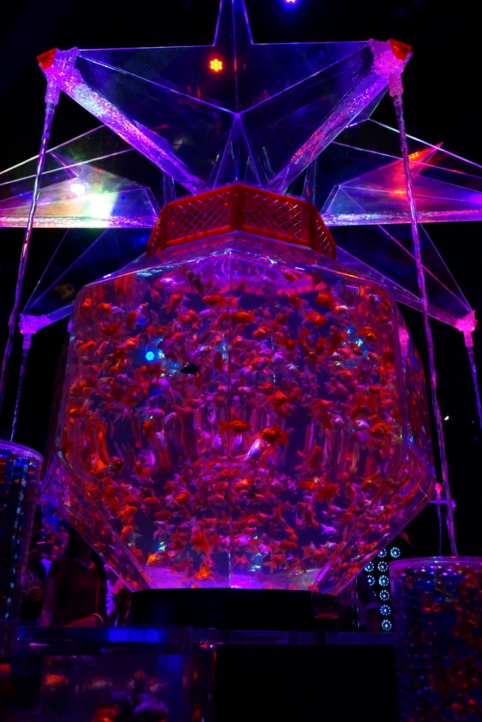 f:id:sinden:20180911205600j:plain f:id:sinden:20180911205600j:plain