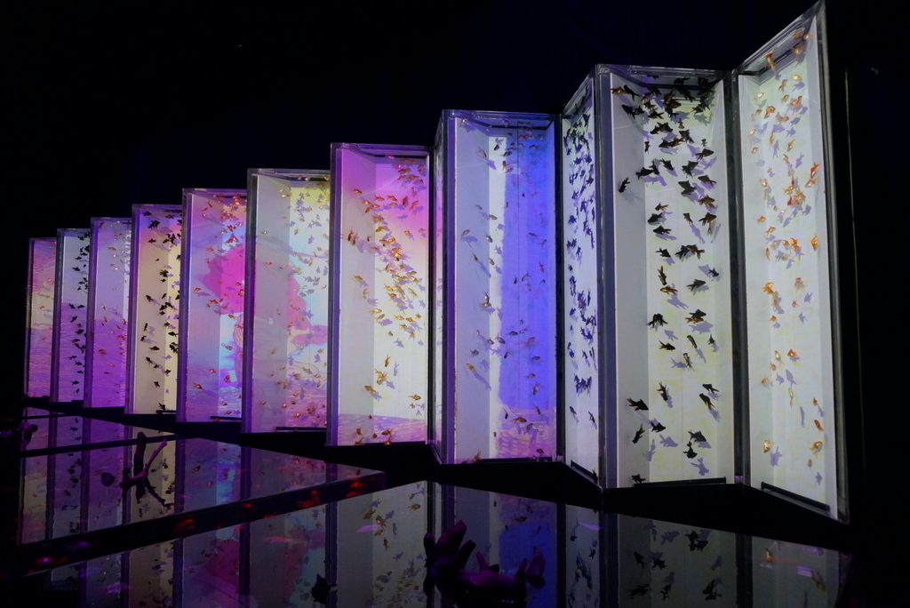 f:id:sinden:20180911205615j:plain f:id:sinden:20180911205615j:plain