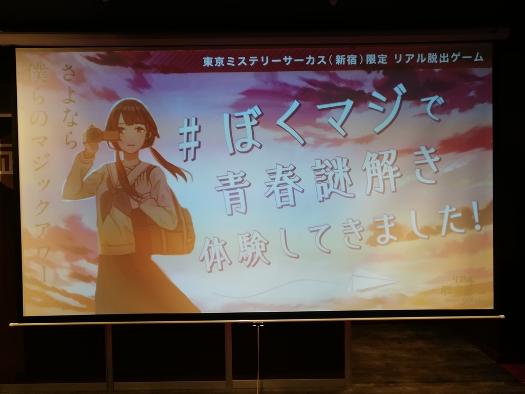 f:id:sinden:20181118172916j:plain