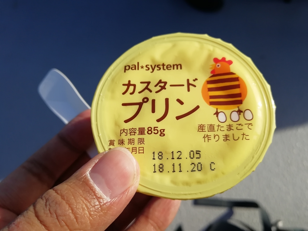 f:id:sinden:20181124192751j:plain