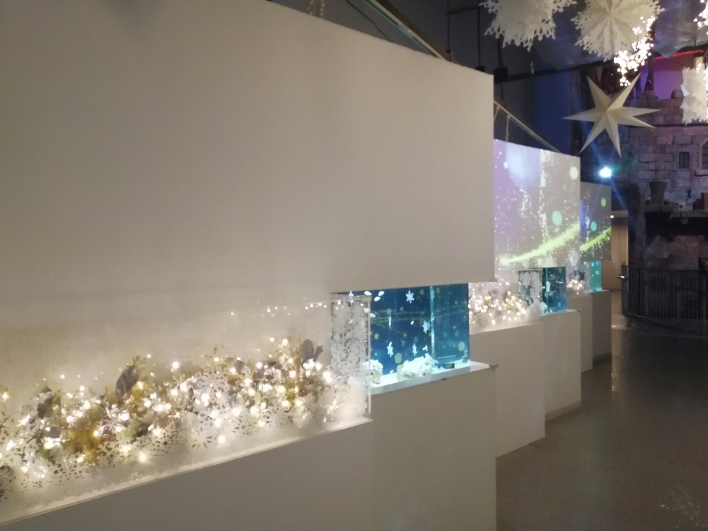 f:id:sinden:20181225221730j:plain f:id:sinden:20181225221730j:plain