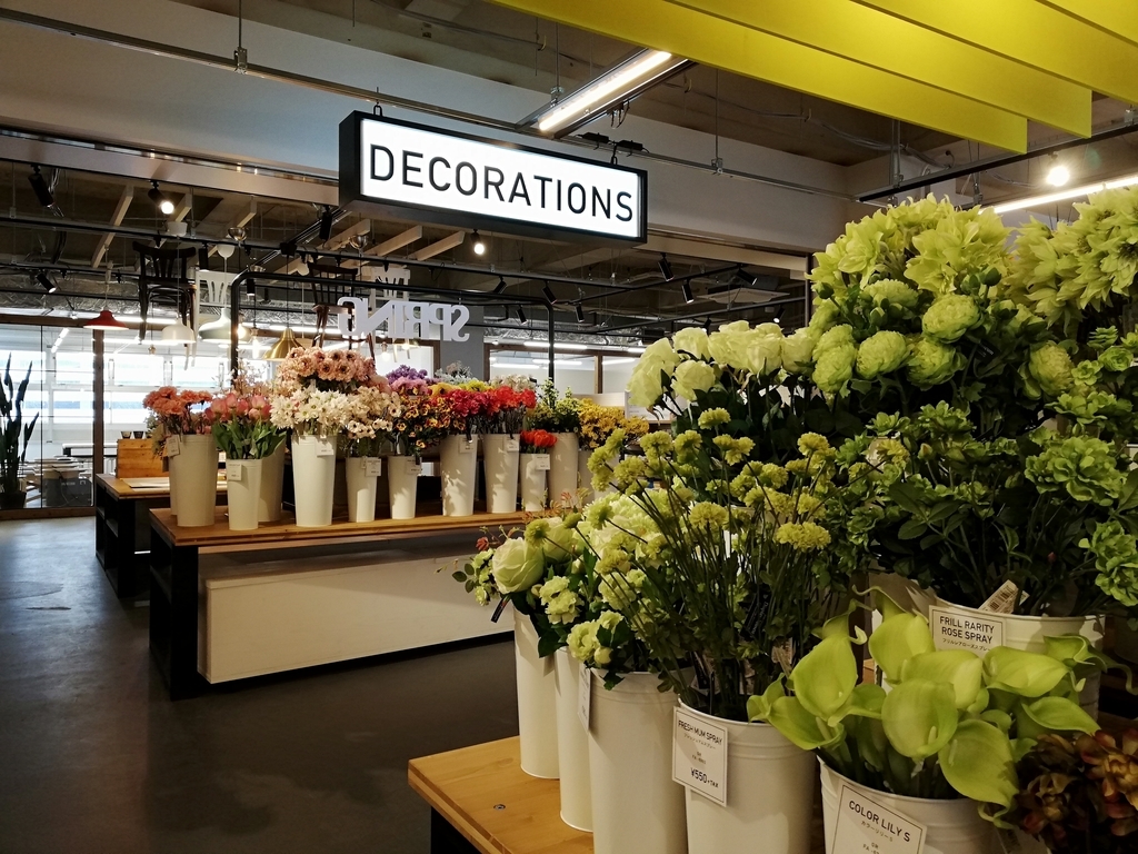 f:id:sinden:20190302120216j:plain