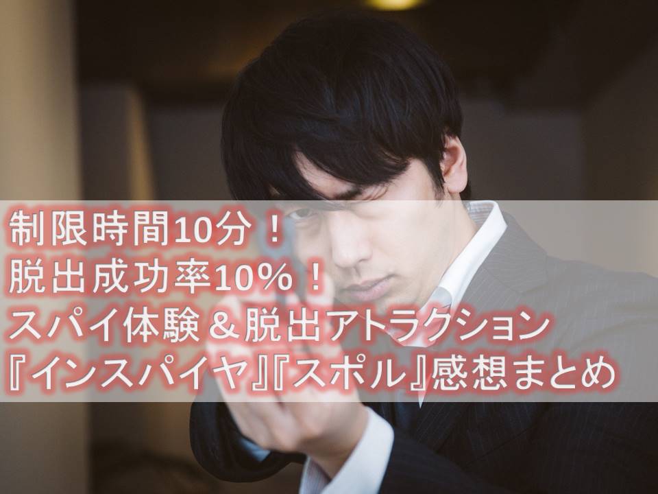 f:id:sinden:20190512153118j:plain