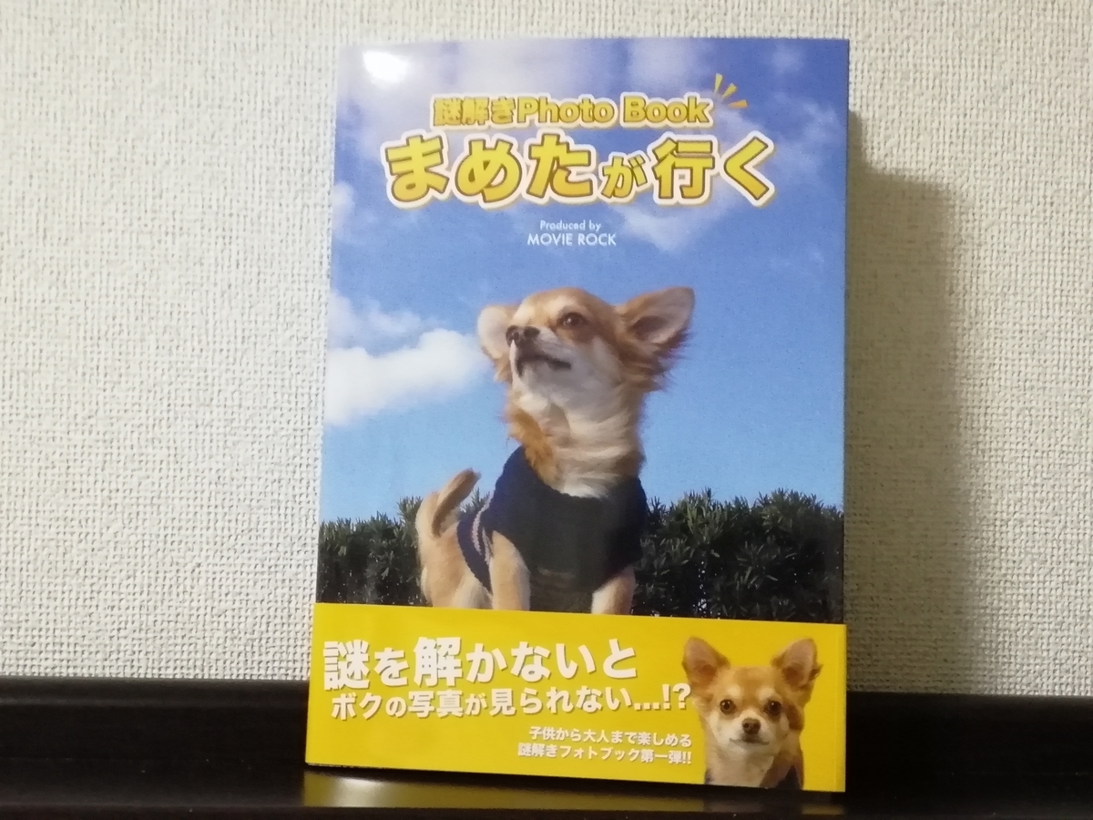 f:id:sinden:20190523195026j:plain