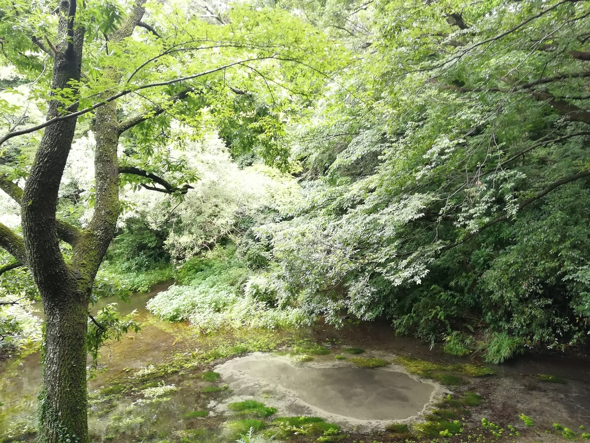 f:id:sinden:20191231212650j:plain